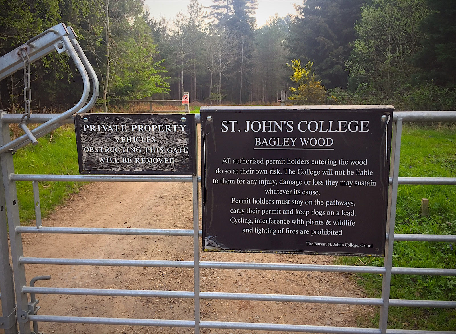 Bagley Wood Century Wood notes from a Shropshire woodland